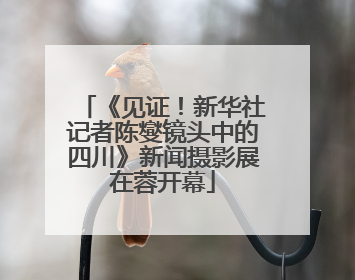 《见证！新华社记者陈燮镜头中的四川》新闻摄影展在蓉开幕