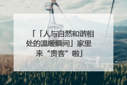 「人与自然和谐相处的温暖瞬间」家里来“贵客”啦