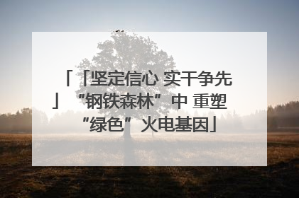 「坚定信心 实干争先」“钢铁森林”中 重塑“绿色”火电基因