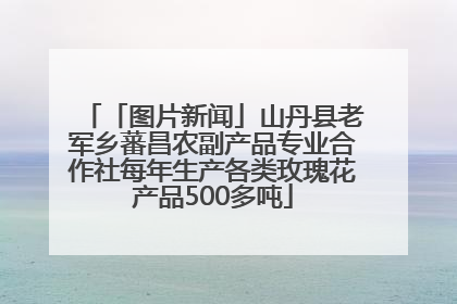 「图片新闻」山丹县老军乡蕃昌农副产品专业合作社每年生产各类玫瑰花产品500多吨