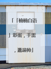 「楠楠自语」彩蛋，手雷，邋遢帅