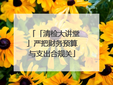 「清检大讲堂」严把财务预算与支出合规关