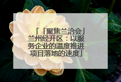 「聚焦兰洽会」兰州经开区：以服务企业的温度推进项目落地的速度
