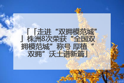 「走进“双拥模范城”」株洲8次荣获“全国双拥模范城”称号 厚植“双拥”沃土谱新篇