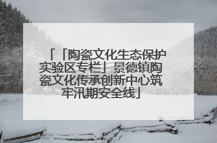 「陶瓷文化生态保护实验区专栏」景德镇陶瓷文化传承创新中心筑牢汛期安全线