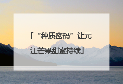 “种质密码”让元江芒果甜蜜持续