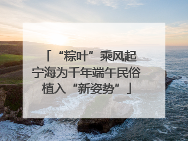 “粽叶”乘风起 宁海为千年端午民俗植入“新姿势”