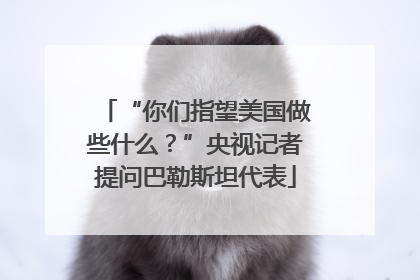 “你们指望美国做些什么？”央视记者提问巴勒斯坦代表