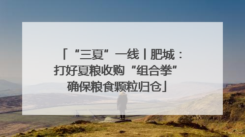 “三夏”一线丨肥城：打好夏粮收购“组合拳” 确保粮食颗粒归仓