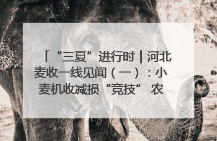 “三夏”进行时｜河北麦收一线见闻（一）：小麦机收减损“竞技” 农机高手麦田“过招”