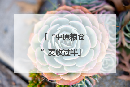 “中原粮仓”麦收过半
