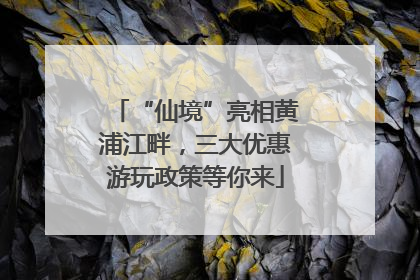 “仙境”亮相黄浦江畔，三大优惠游玩政策等你来