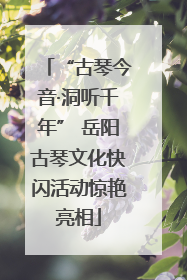 “古琴今音·洞听千年” 岳阳古琴文化快闪活动惊艳亮相
