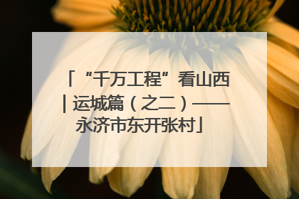 “千万工程”看山西｜运城篇（之二）——永济市东开张村