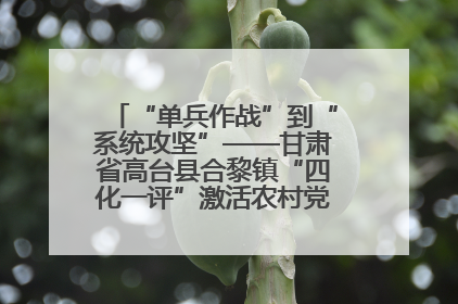 “单兵作战”到“系统攻坚”——甘肃省高台县合黎镇“四化一评”激活农村党员管理新引擎
