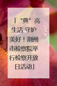 “典”亮生活 守护美好！荆州市检察院举行检察开放日活动