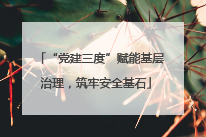 “党建三度”赋能基层治理，筑牢安全基石