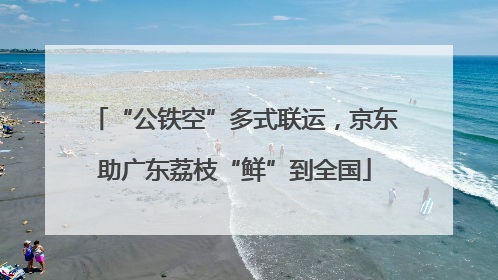 “公铁空”多式联运，京东助广东荔枝“鲜”到全国