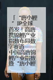 “唐小鲤”IP全球首发！高唐携锦鲤产业指数布局数字赛道——中国高唐锦鲤产业指数暨“唐小鲤”IP全球首发仪式在杭州举行