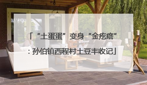 “土蛋蛋”变身“金疙瘩”：孙伯镇西程村土豆丰收记