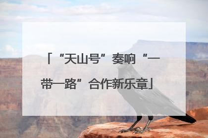 “天山号”奏响“一带一路”合作新乐章