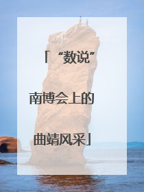 “数说”南博会上的曲靖风采