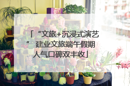 “文旅+沉浸式演艺” 建业文旅端午假期人气口碑双丰收