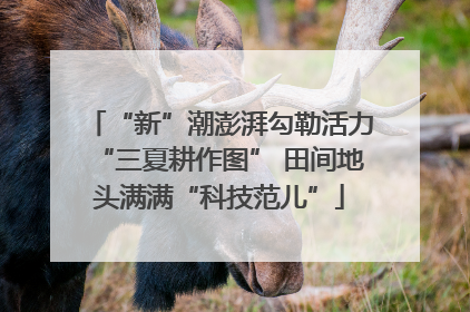 “新”潮澎湃勾勒活力“三夏耕作图” 田间地头满满“科技范儿”