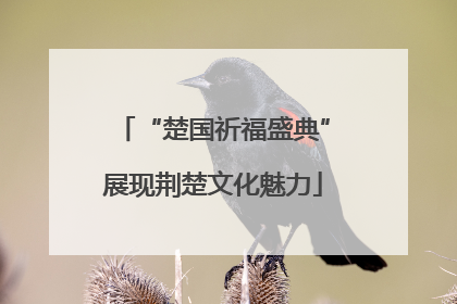 “楚国祈福盛典”展现荆楚文化魅力