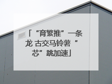 “育繁推”一条龙 古交马铃薯“芯”跳加速