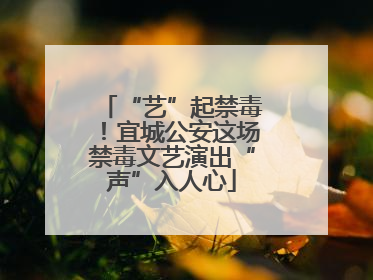 “艺”起禁毒！宜城公安这场禁毒文艺演出“声”入人心