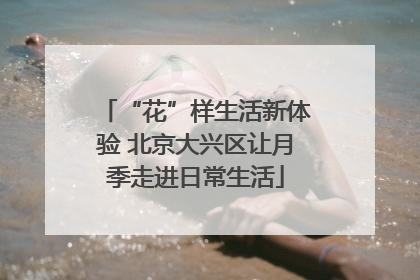 “花”样生活新体验 北京大兴区让月季走进日常生活