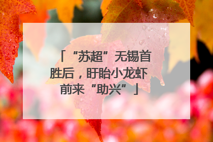 “苏超”无锡首胜后，盱眙小龙虾前来“助兴”