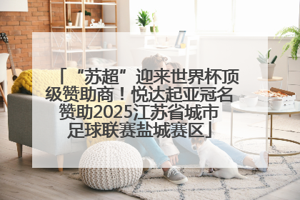 “苏超”迎来世界杯顶级赞助商！悦达起亚冠名赞助2025江苏省城市足球联赛盐城赛区