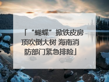 “蝴蝶”掀铁皮房顶吹倒大树 海南消防部门紧急排险