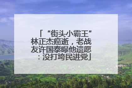 “街头小霸王”林正杰癌逝，老战友许国泰曝他遗愿：没打垮民进党