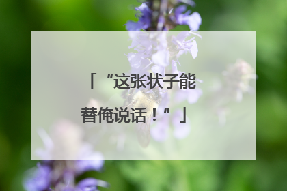 “这张状子能替俺说话！”