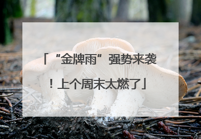 “金牌雨”强势来袭！上个周末太燃了