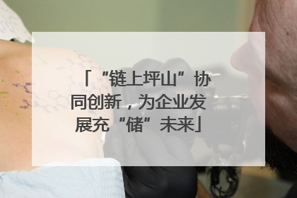 “链上坪山”协同创新，为企业发展充“储”未来