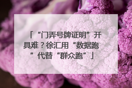 “门弄号牌证明”开具难？徐汇用“数据跑”代替“群众跑”