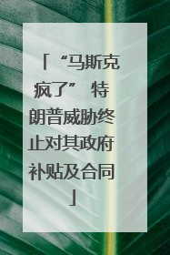 “马斯克疯了” 特朗普威胁终止对其政府补贴及合同