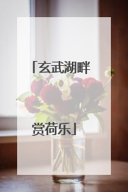 玄武湖畔赏荷乐