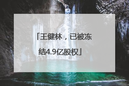王健林，已被冻结4.9亿股权