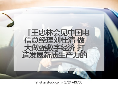 王忠林会见中国电信总经理刘桂清 做大做强数字经济 打造发展新质生产力的强劲引擎