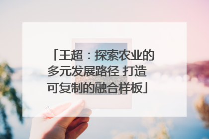 王超：探索农业的多元发展路径 打造可复制的融合样板