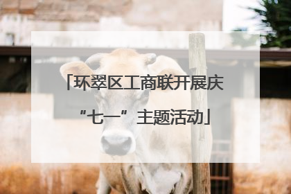 环翠区工商联开展庆“七一”主题活动
