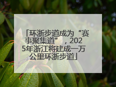 环浙步道成为“赛事聚集道”，2025年浙江将建成一万公里环浙步道