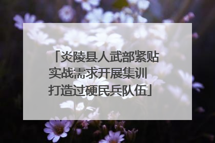 炎陵县人武部紧贴实战需求开展集训 打造过硬民兵队伍