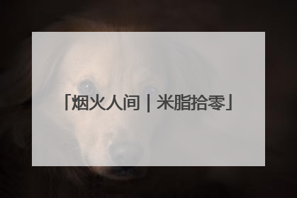 烟火人间｜米脂拾零