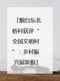 烟台东北桥村获评“全国文明村”：乡村振兴展新貌
